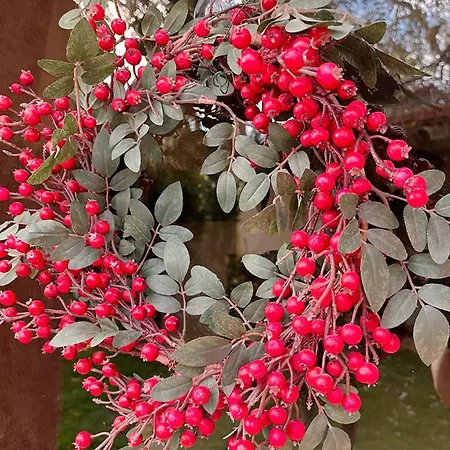 Gites De Montcabirol 度假居 米尔普瓦